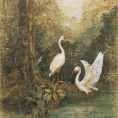 GARZAS BLANCAS (90x120cm)